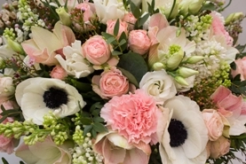 Новая фотосессия! 