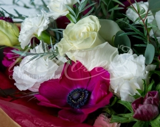 Новинки! Новинки! Новинки! Новинки! Новинки! Новинки!