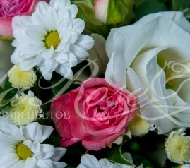 Татьянин день! Спешите поздравить!