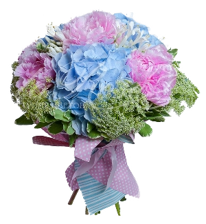 Сезон пионов и гортензий Сезон пионов и гортензий