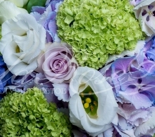 Свадебный переполох.