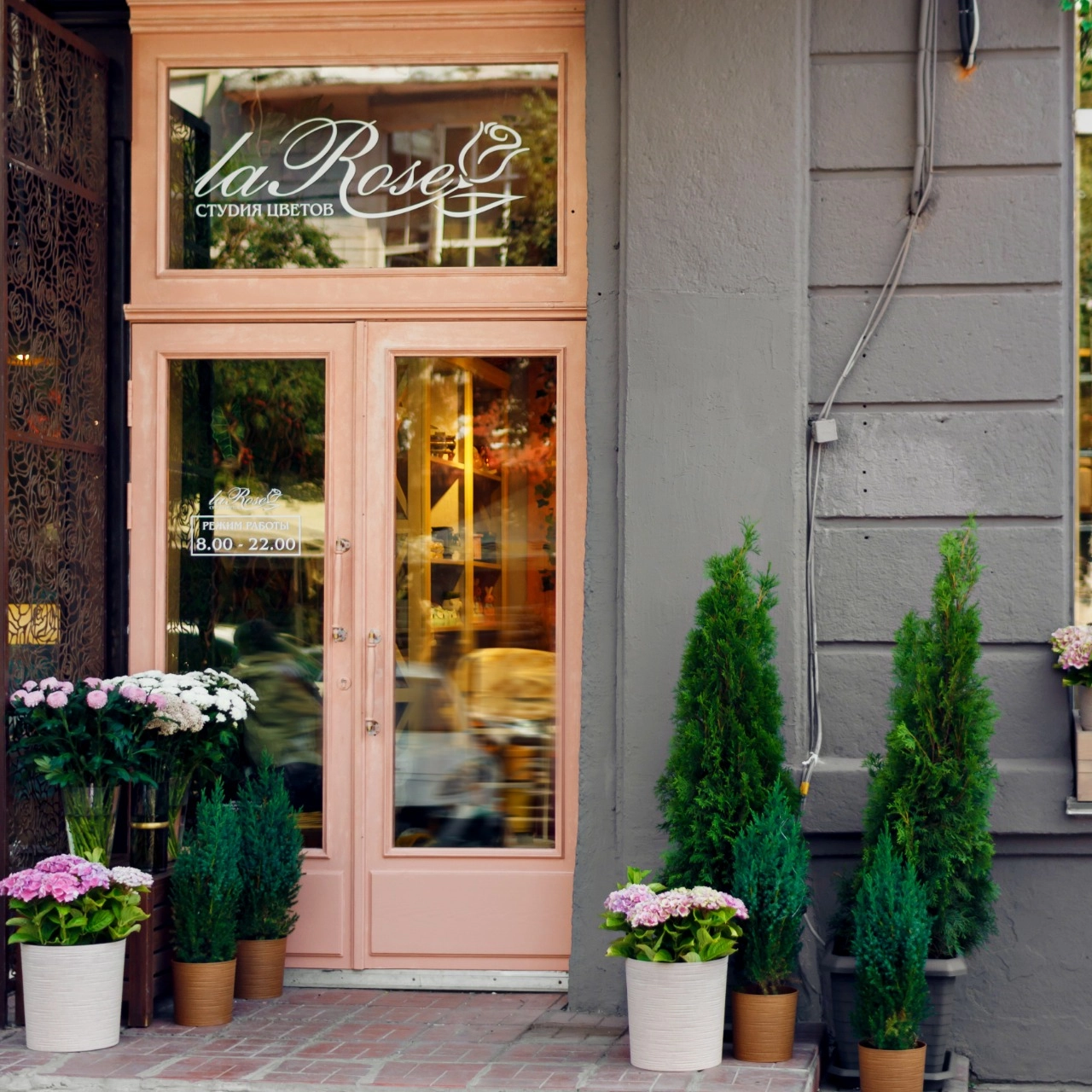 День рождения La Rose!