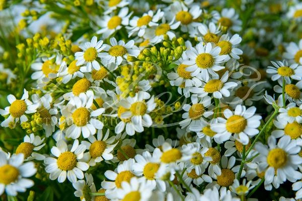 Летняя фотосессия!