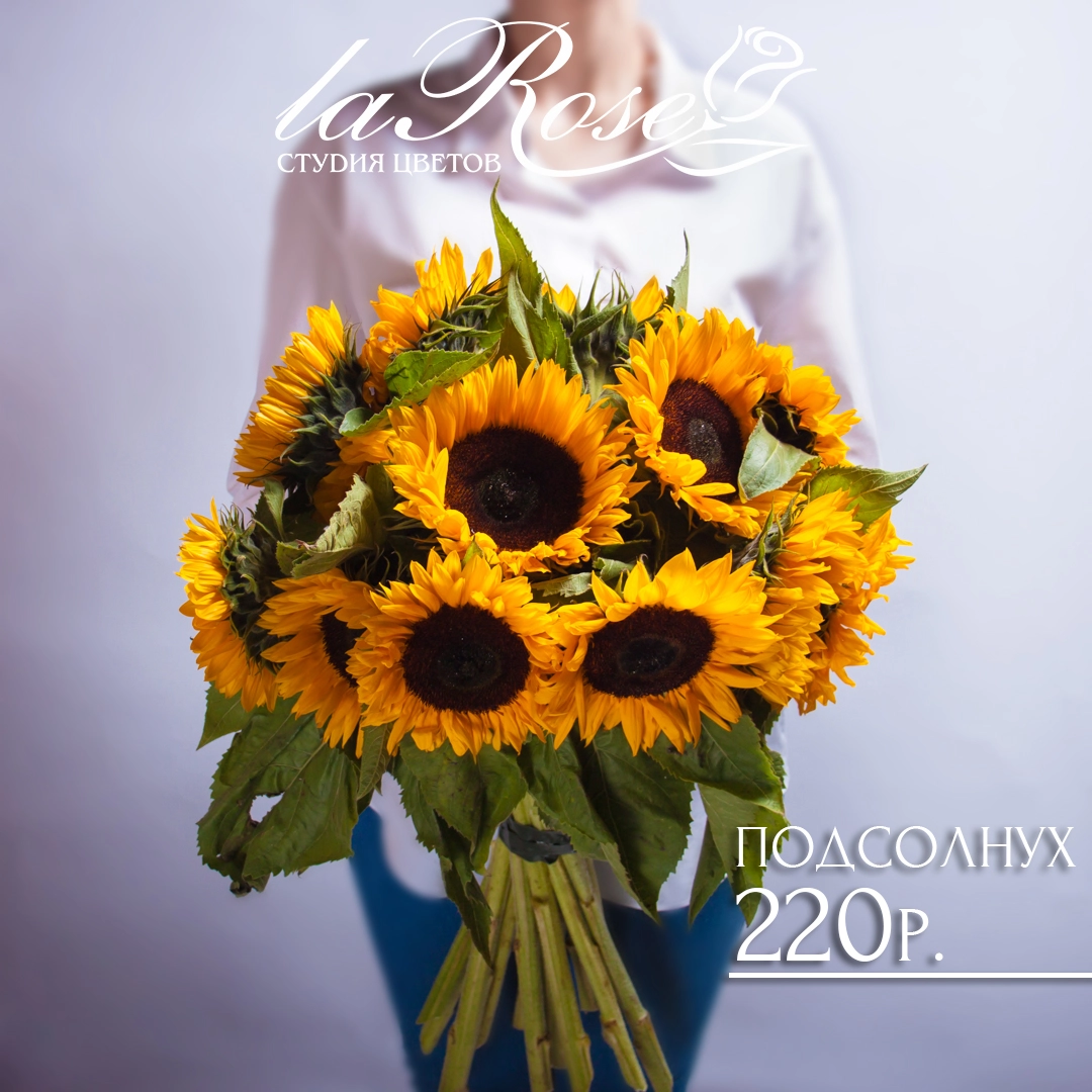 Сезон подсолнухов!