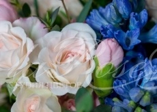 Международный день друзей!