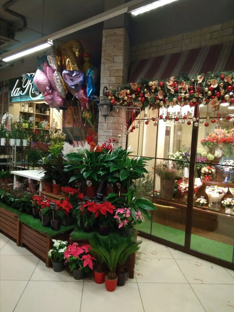 Студии «La Rose» засияли к Новому году!