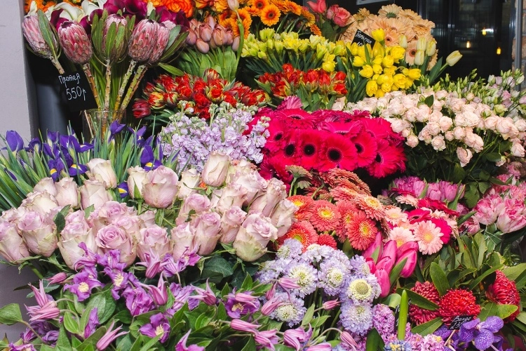 Приятное с полезным