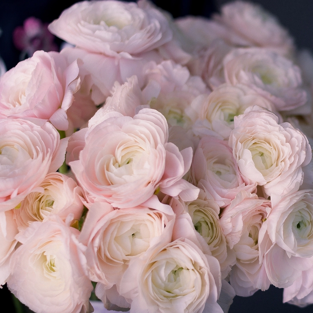 25 октября - День матери!