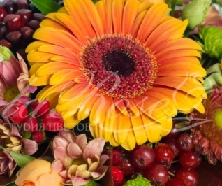 Всемирный день учителя!!