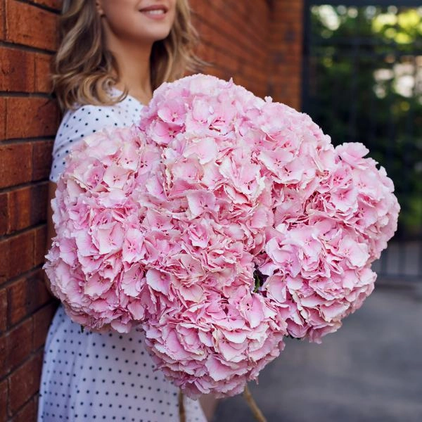 Букет Букет Розовая гортензия купить в Кургане