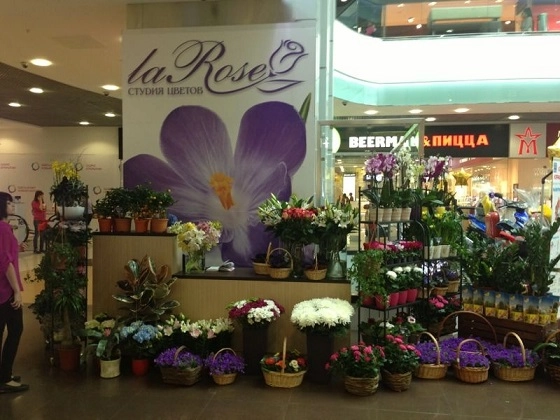 Мы открыли точку по продаже горшечных растений!