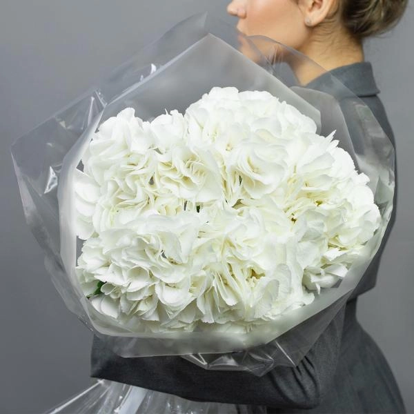 Букет Моно из белой гортензии купить в Кургане