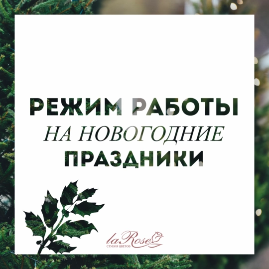 Режим работы салонов в новогодние праздники