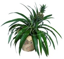 New! New! New! Новая фотосессия уже на сайте!