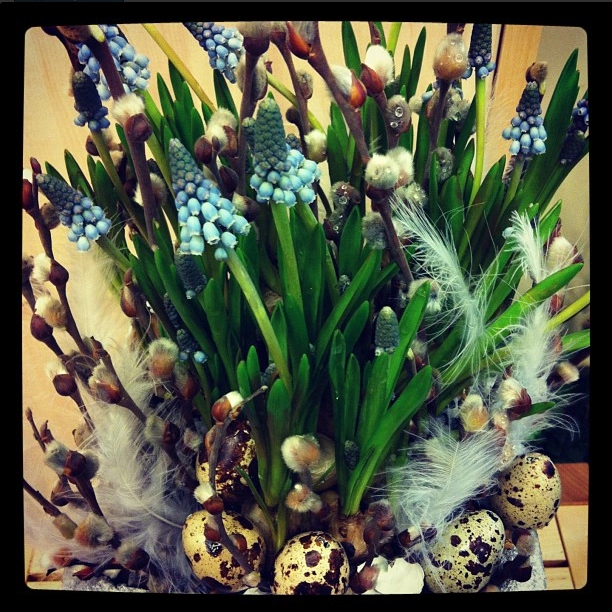 Следите за нами в Instagram!