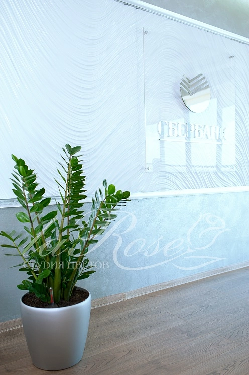 Мы озеленили Сбербанк!