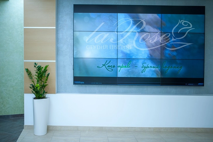 Мы озеленили Сбербанк!