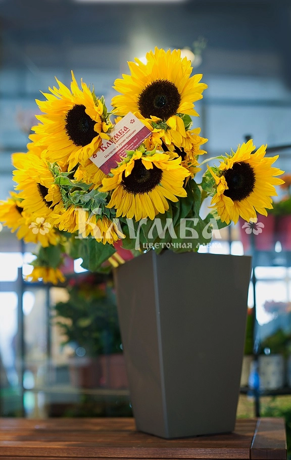 Цветочная лавка "Клумба" - мы открыли еще одну сеть!