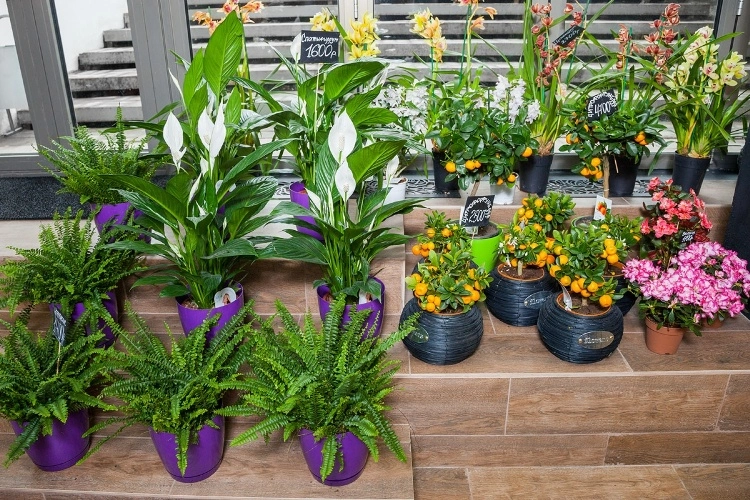 Приятное с полезным