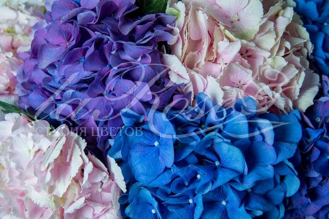 День молодежи!