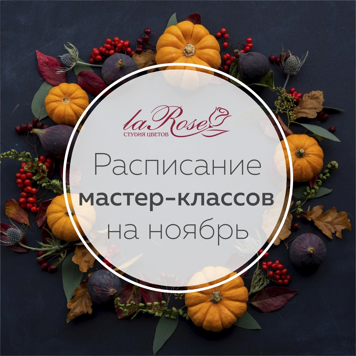 Осенние мастер-классы: расписание на НОЯБРЬ! 