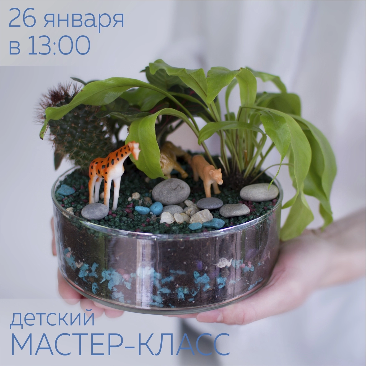 Расписание мастер-классов на январь