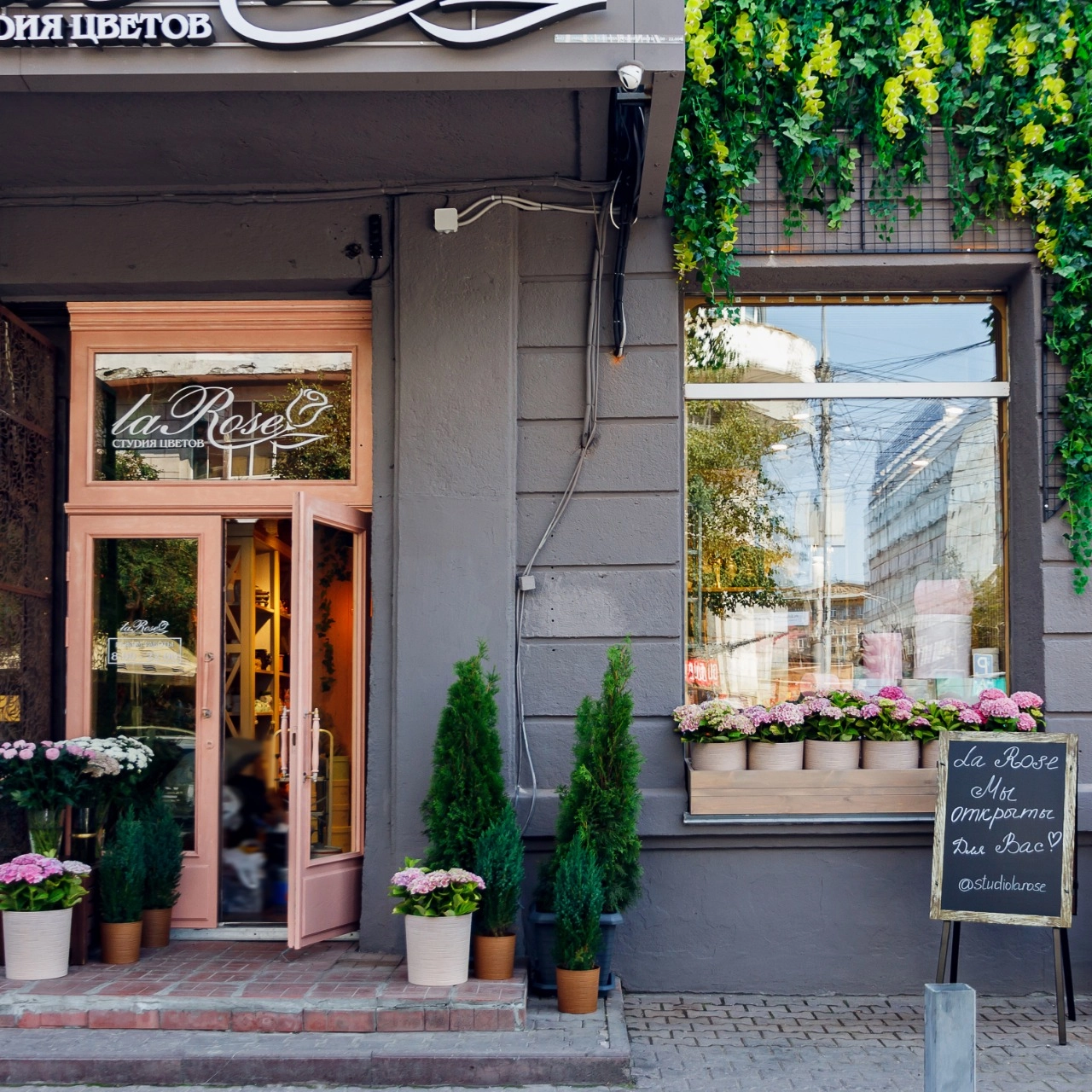 День рождения La Rose!