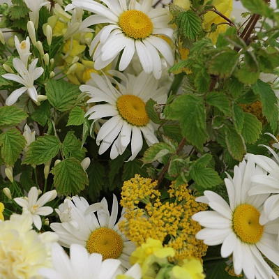 Букет ромашек с ветками малины