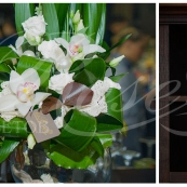 Открытие Trend Bar