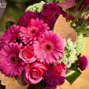 Оформление ресторана Salt