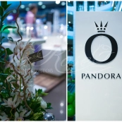 Открытие Pandora в Сан Сити