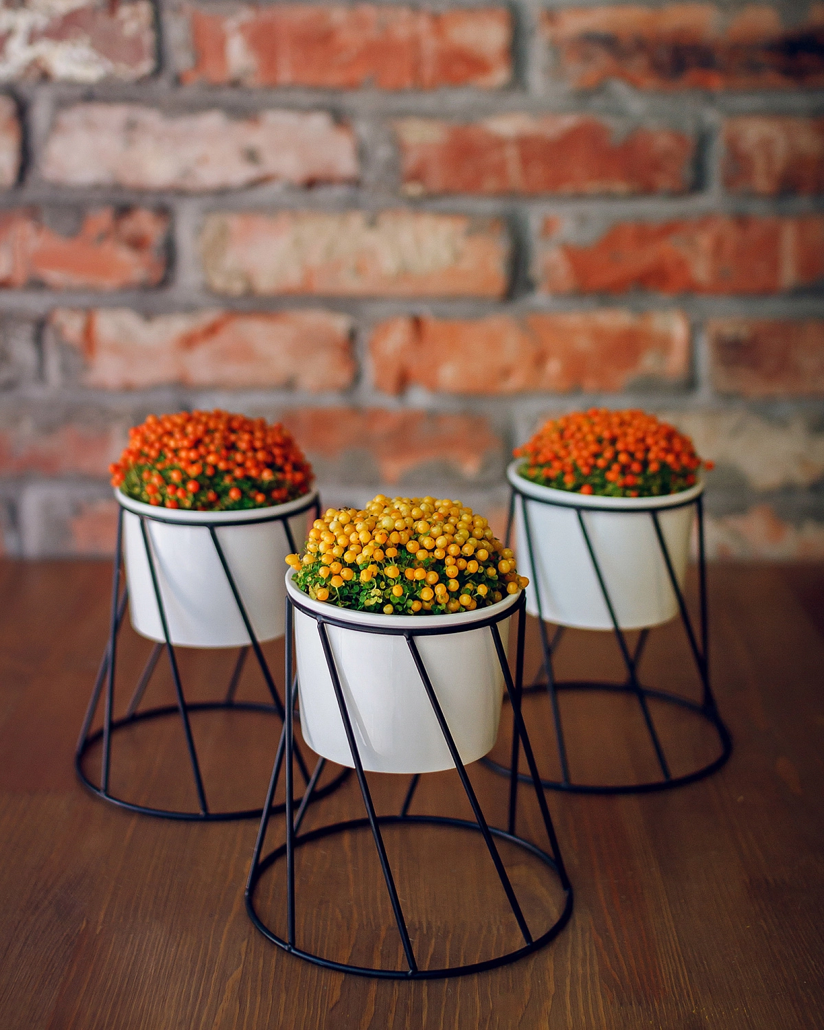 НОВАЯ КОЛЛЕКЦИЯ ДЕКОРА ПОД ЛЮБОЙ ИНТЕРЬЕР!