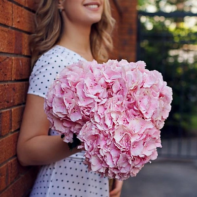 Букет Розовая гортензия