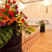 Оформление для СЛК-моторс