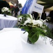 Оформления для Бахетле