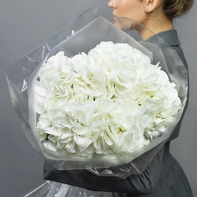 Моно из белой гортензии