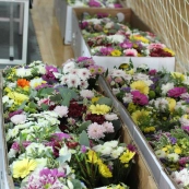 Турнир "Кубок Покрышкина", спортивный клуб "Динамэкс" 04.10.2014