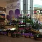 Мы открыли точку по продаже горшечных растений!
